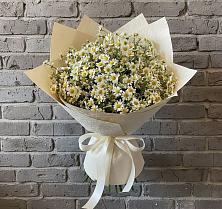 Букет цветов из:  Ромашки в Малом Верево