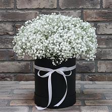 Цветочная композиция из Гипсофила в шляпной коробке в Малом Верево