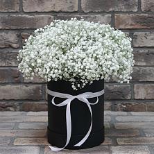 Цветочная композиция из Гипсофила в шляпной коробке в Малом Верево